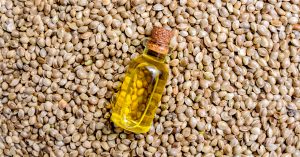 Hemp-Seed-Oil-Health-Benefits.jpg