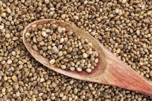 Hemp-Seed-The-Benefits-Nutritional-Value.jpg